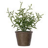 7" Green Potted Herbs Assort 3/pk - view 8 of 8